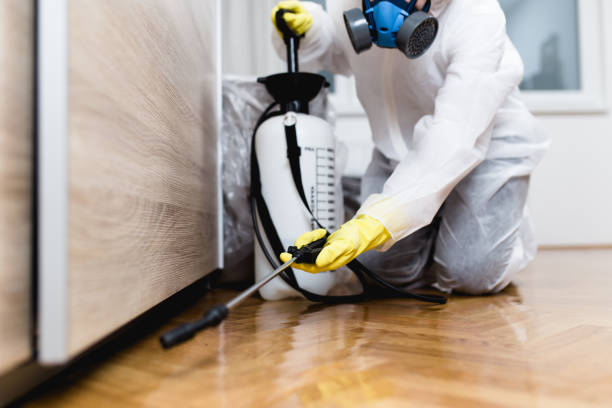 Best Best Pest Control Companies  in Apison, TN