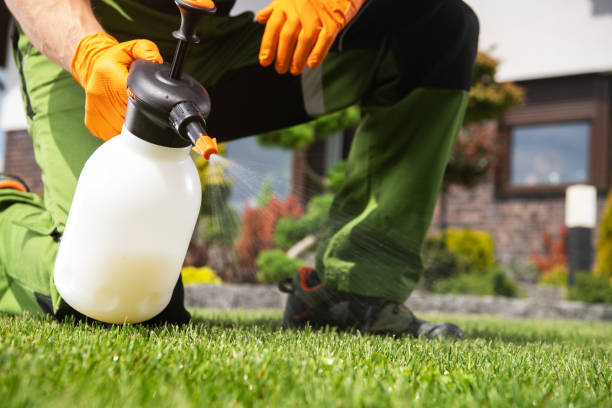 Best Pest Removal Services  in Apison, TN